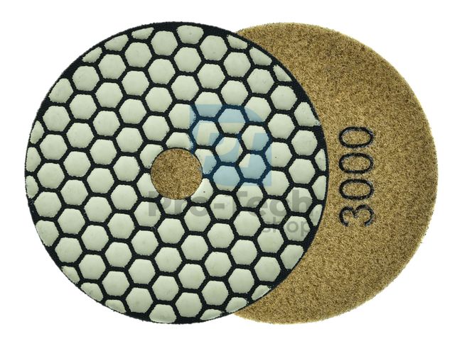 Disc de șlefuit diamantat cu Velcro 100mm P3000 18301